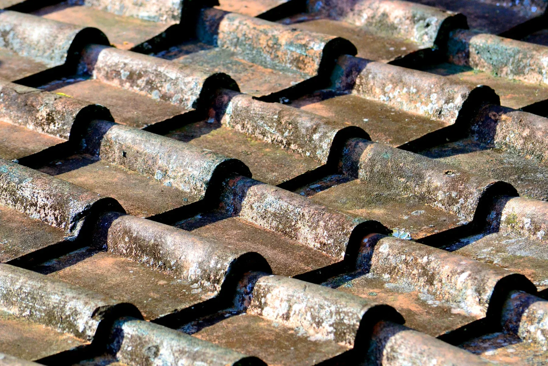 Werk van Asbest Veilig Wonen